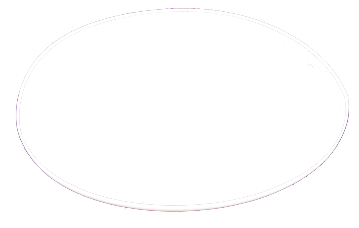 Teflon ring, Large, Alcatel-Adixen, Dry pump, Part# 109898