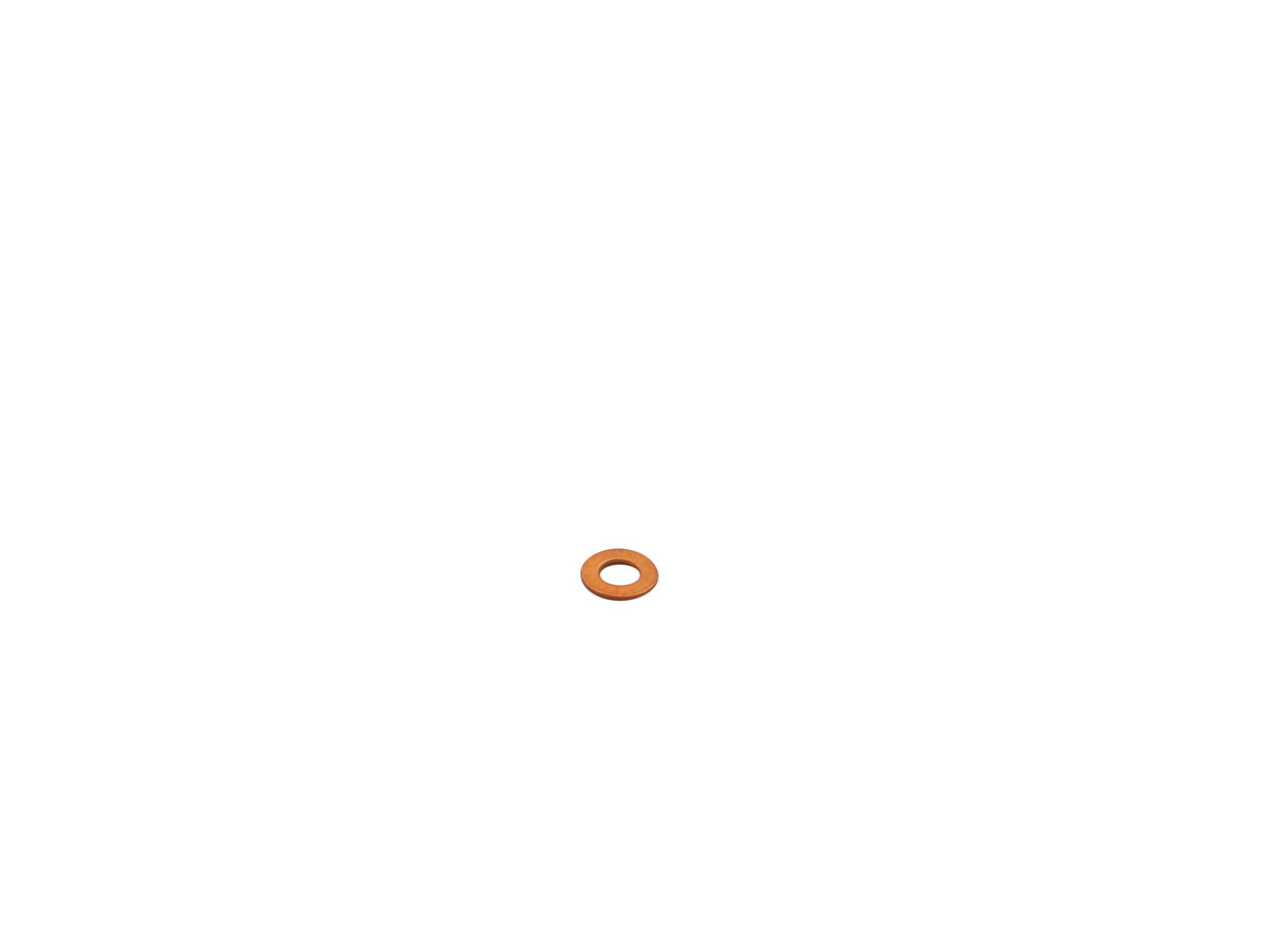 Busch Ring Gasket Part# 48401400