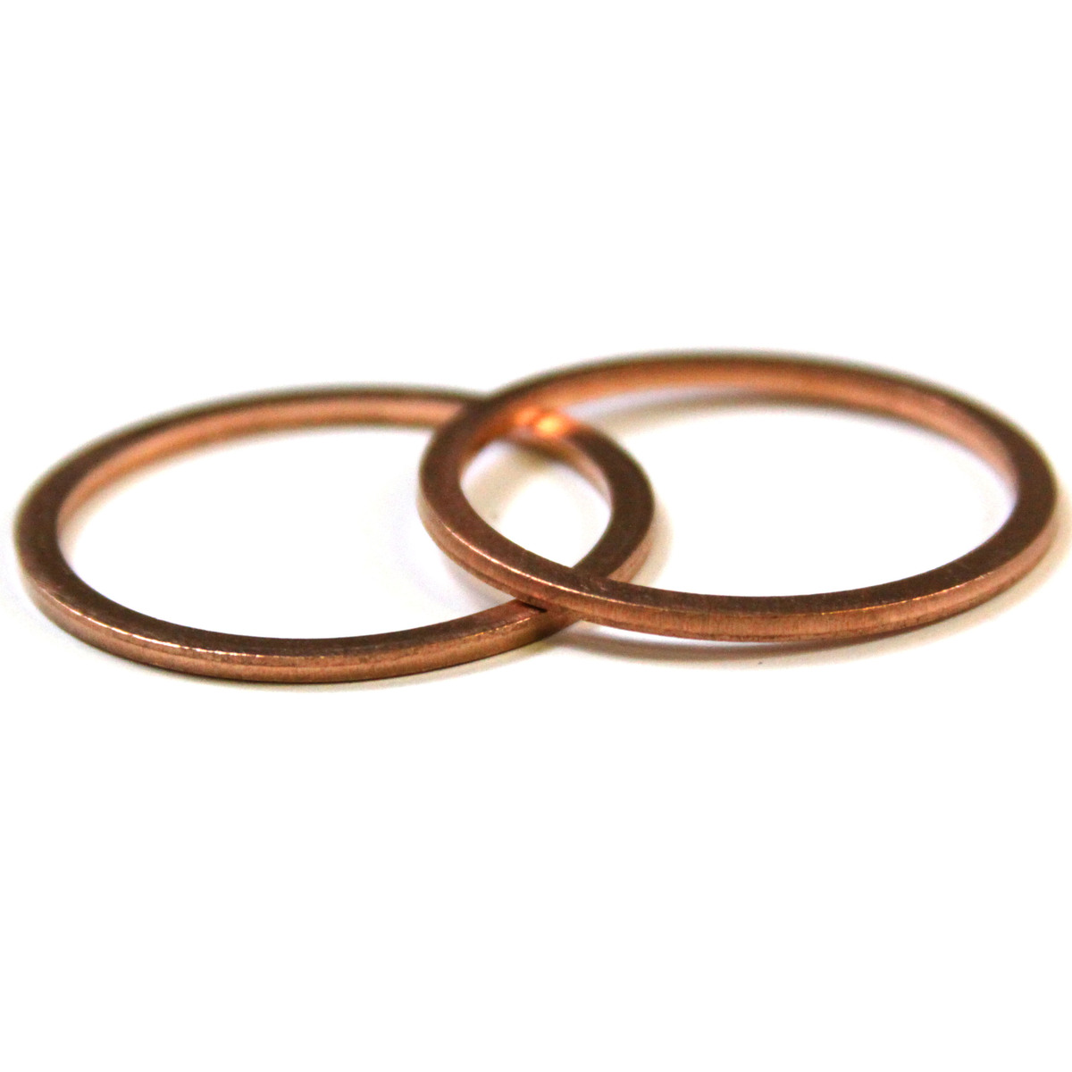 Busch Ring Gasket Part# 48406700
