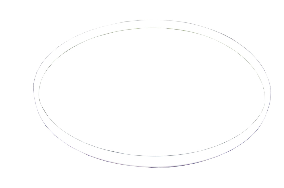 Teflon ring, Large, Alcatel-Adixen, Dry pump, Part# 550048