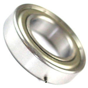 Ball Bearing Pinned, Ebara, AA Series, AAS Series, AA100WN, AA200, AA70W, AAS20WN, AAS20N, Part# 6006ZPIN. Ball Bearing Pinned, Ebara, AA Series, AAS Series, AA100WN, AA200, AA70W, AAS20WN, AAS20N, Part# 6006ZPIN.