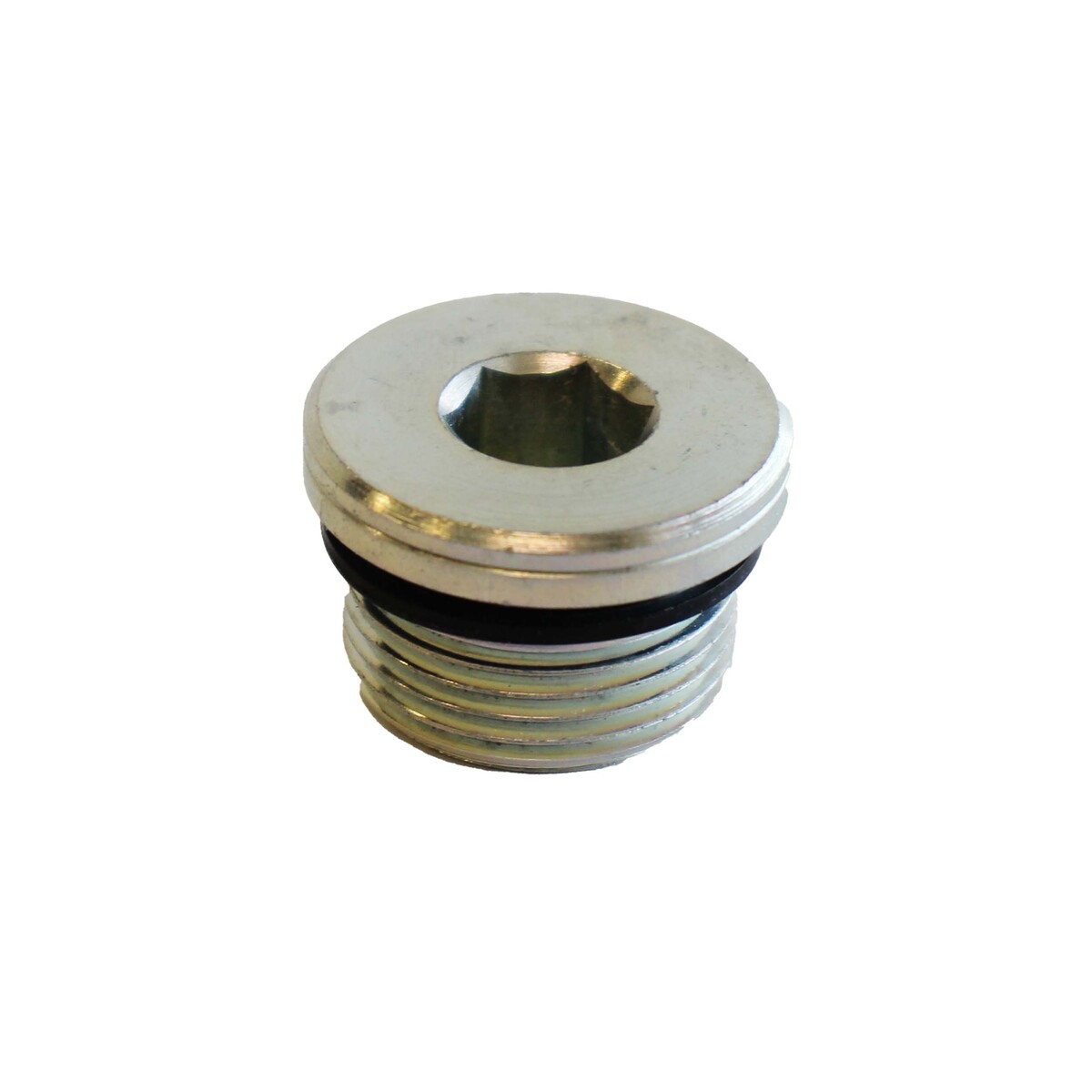 Plug, Screw