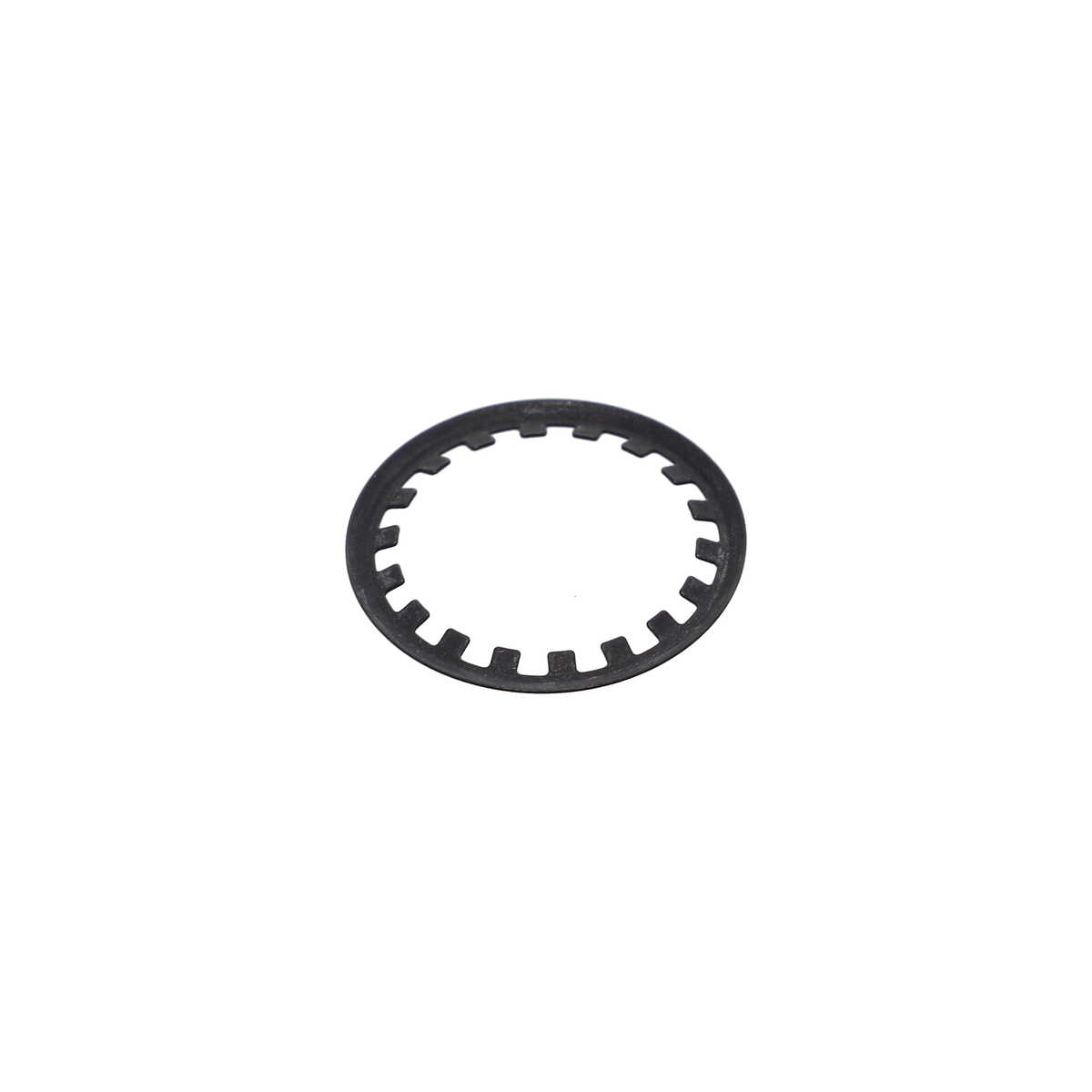 Retaining Ring, Busch R5 - Part# 43238000