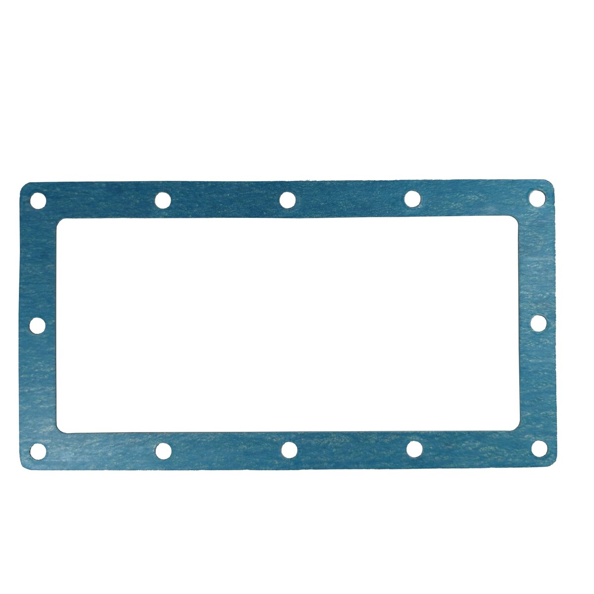 Busch Gasket Part# 48012400