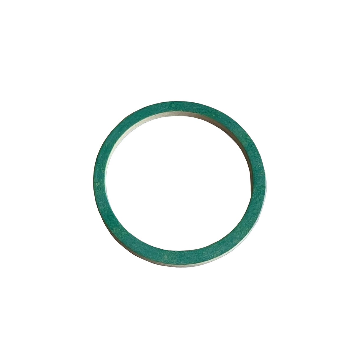 Ring Gasket, Rietschle, V-VC, Part# 704038